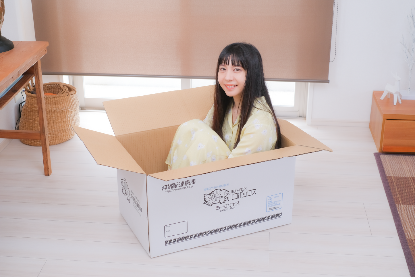 ハコボックス ラージ(大)